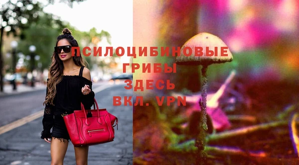 гидра Ельня